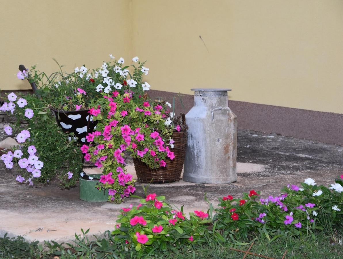 Villa Kutija Sveti Filip i Jakov Buitenkant foto
